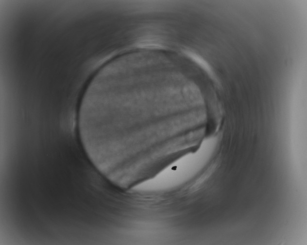 X0000088731461200706282114