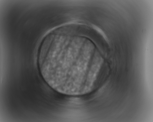 X0000088731463200706282114