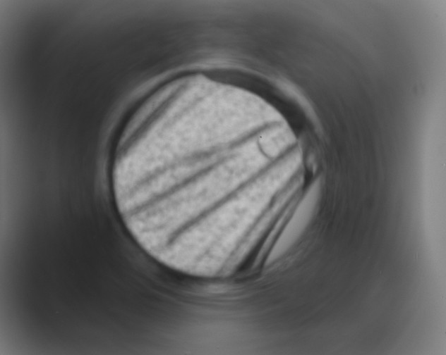 X0000088731464200706282114