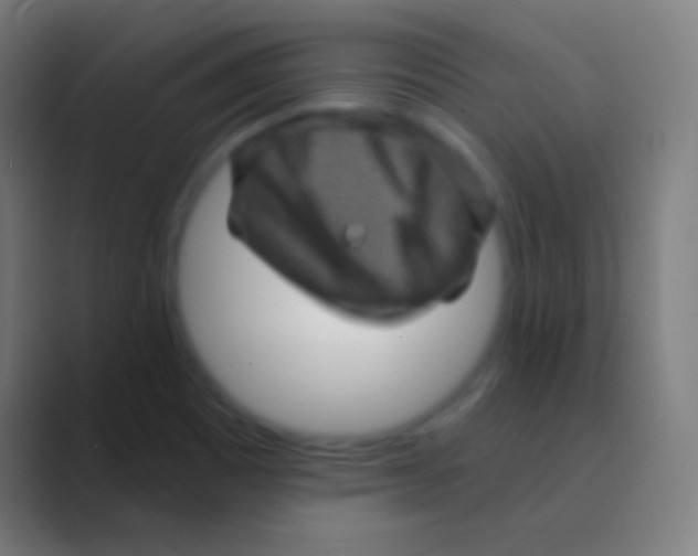 X0000088731465200706282114