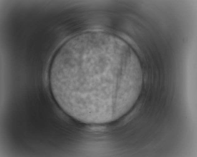 X0000088731466200706282114