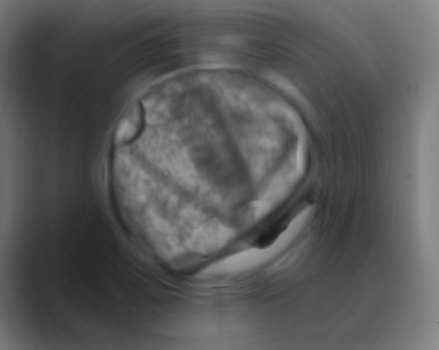 X0000088731467200706282114