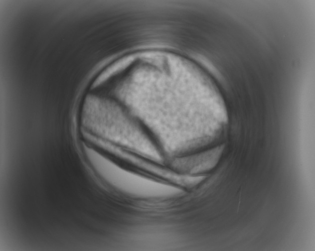 X0000088731468200706282114