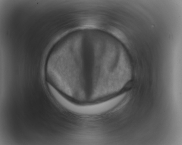 X0000088731469200706282114