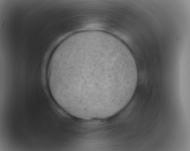 X0000088731470200706282114