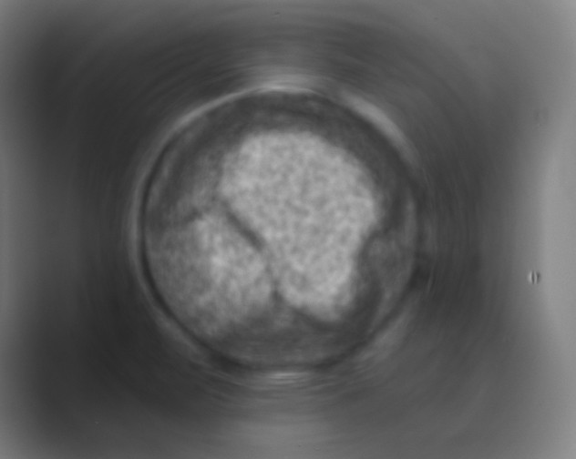 X0000088731471200706282114