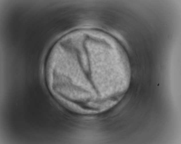 X0000088731472200706282114