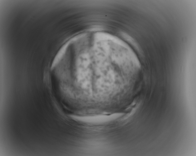 X0000088731473200706282114