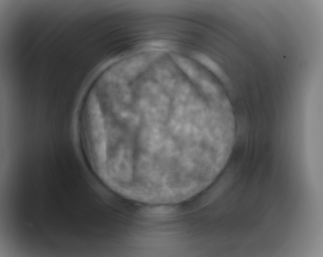 X0000088731474200706282114