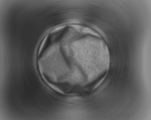 X0000088731475200706282114