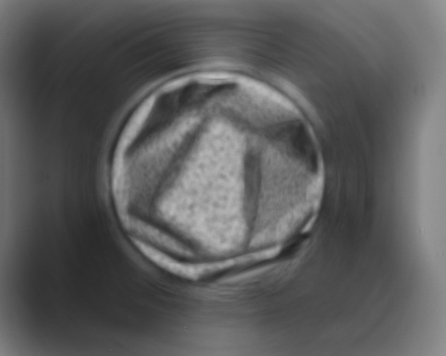 X0000088731476200706282114