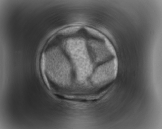 X0000088731480200706282114