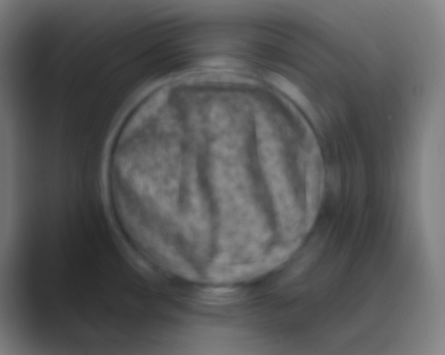 X0000088731482200706282114