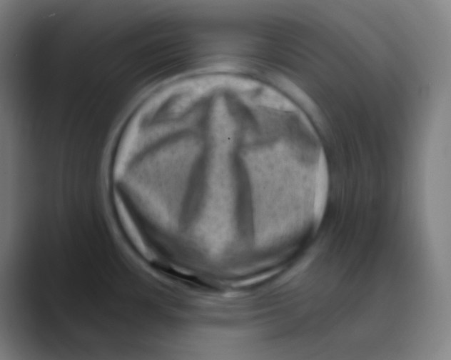 X0000088731483200706282114