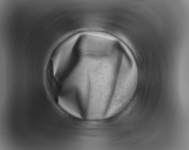 X0000088731485200706282114