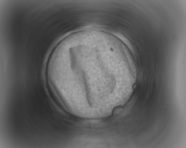 X0000088731486200706282114