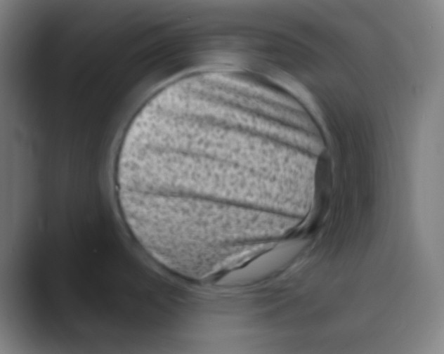 X0000088731488200706282114