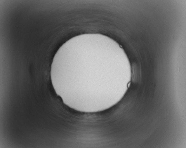 X0000088731491200706282113