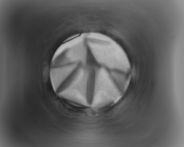 X0000088731492200706282113