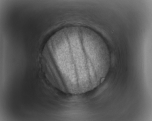 X0000088731494200706282113