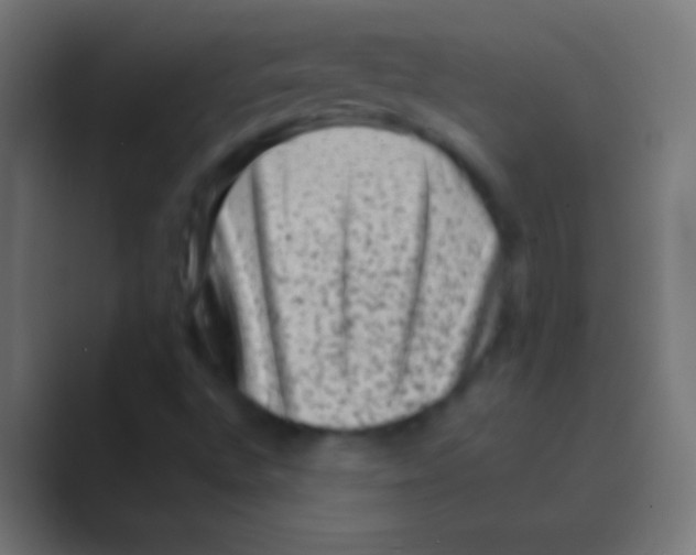 X0000088731496200706282113