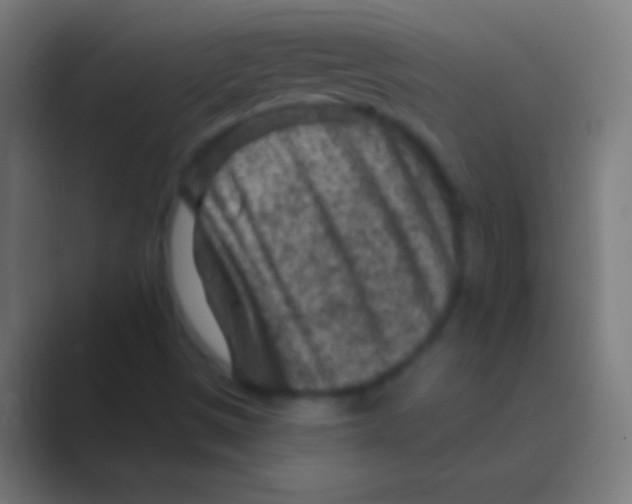 X0000088731497200706282113