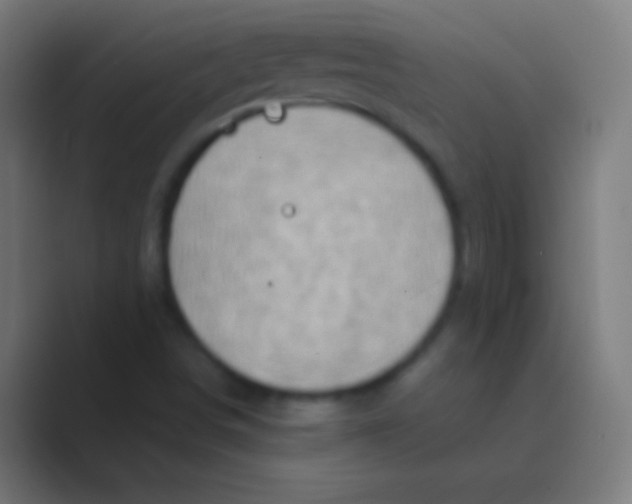 X0000088731498200706282113