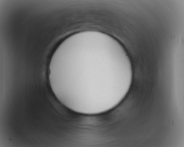 X0000088731499200706282113