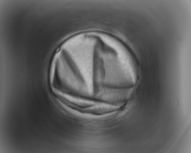 X0000088731500200706282113