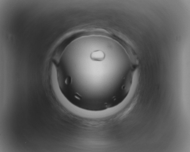 X0000088731502200706282113