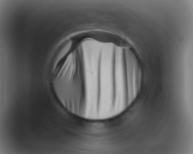 X0000088731503200706282113