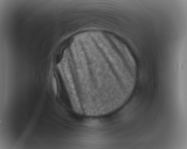 X0000088731505200706282113