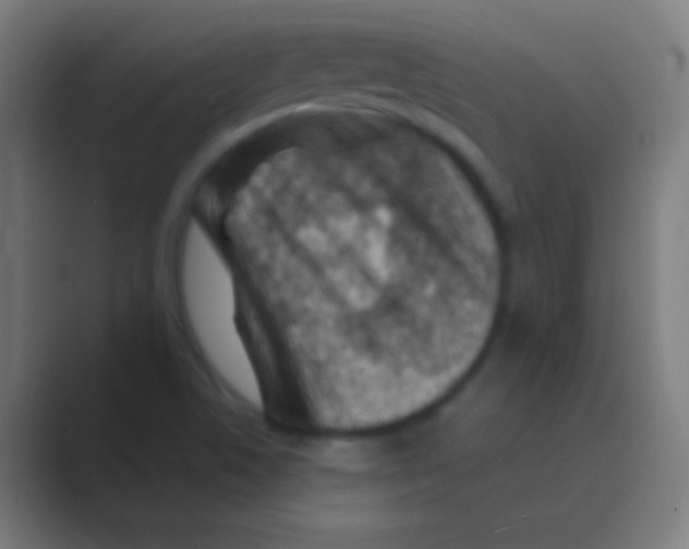 X0000088731506200706282113