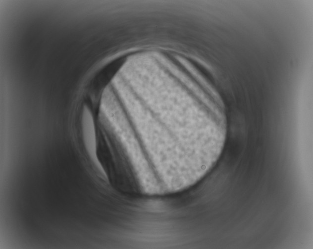 X0000088731507200706282113