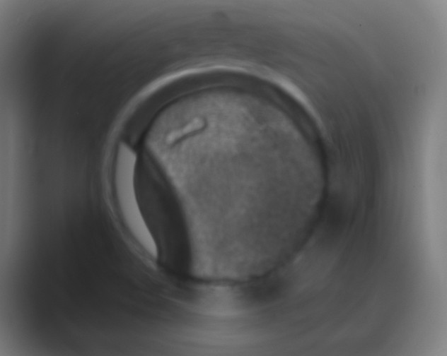 X0000088731508200706282113