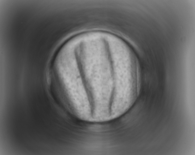 X0000088731510200706282113