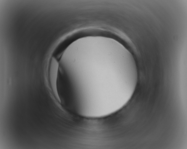 X0000088731512200706282113