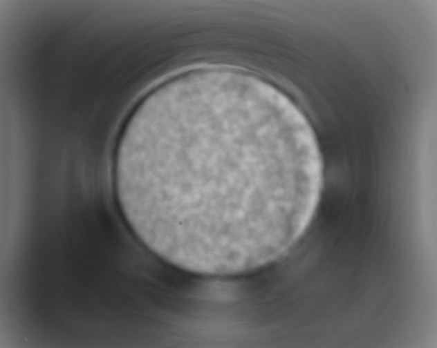 X0000088731514200706282113