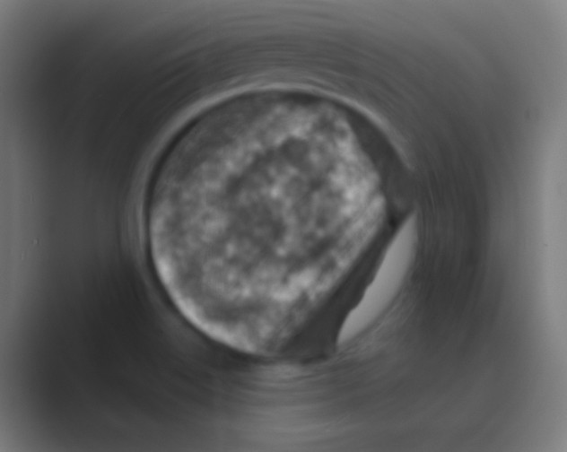 X0000088731515200706282113