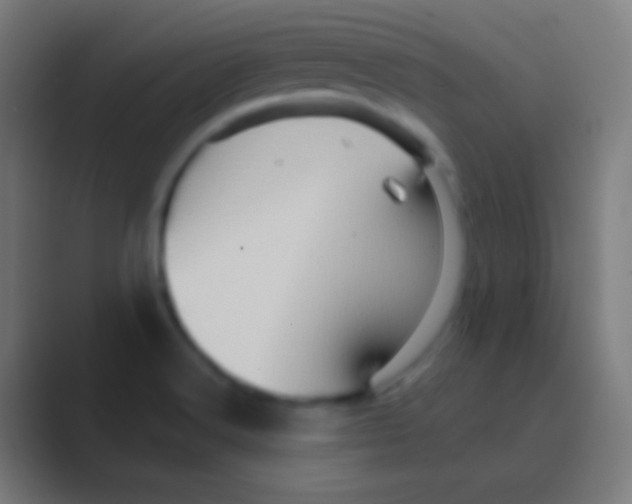 X0000088731516200706282113