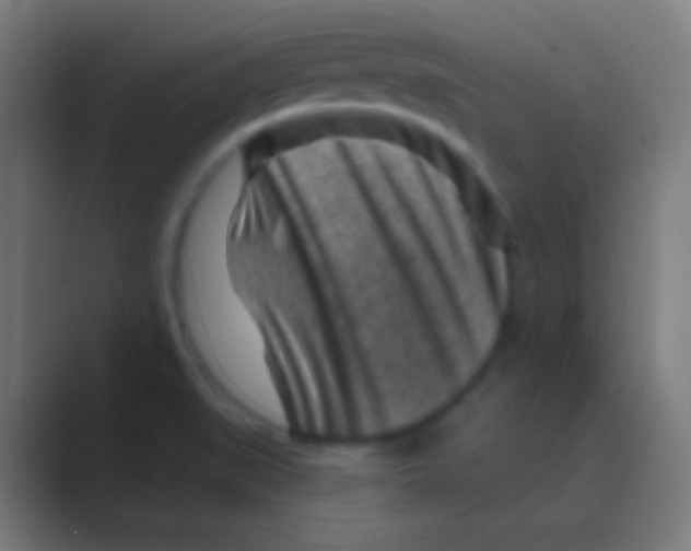 X0000088731519200706282113