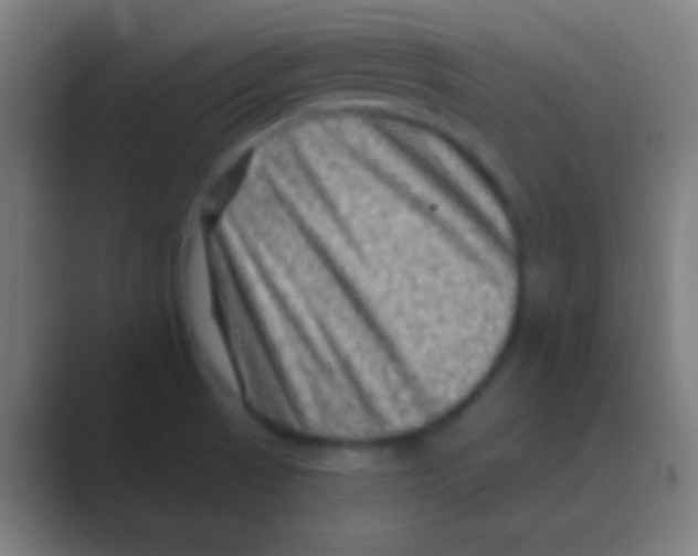 X0000088731521200706282113