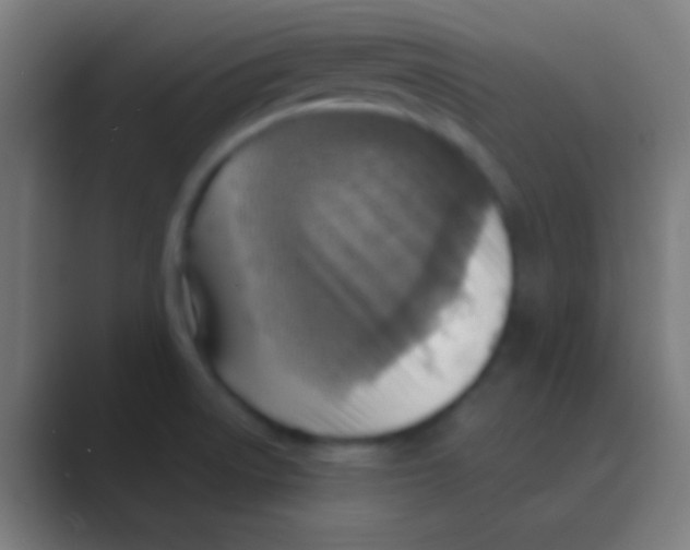 X0000088731522200706282113