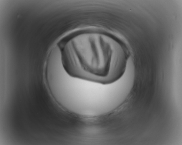 X0000088731524200706282113