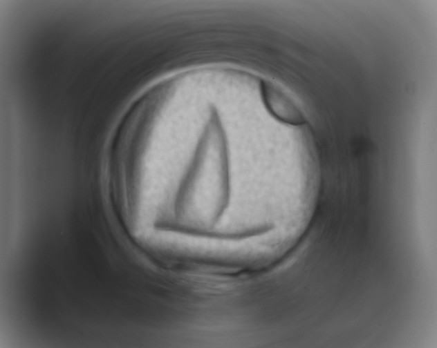 X0000088731526200706282113