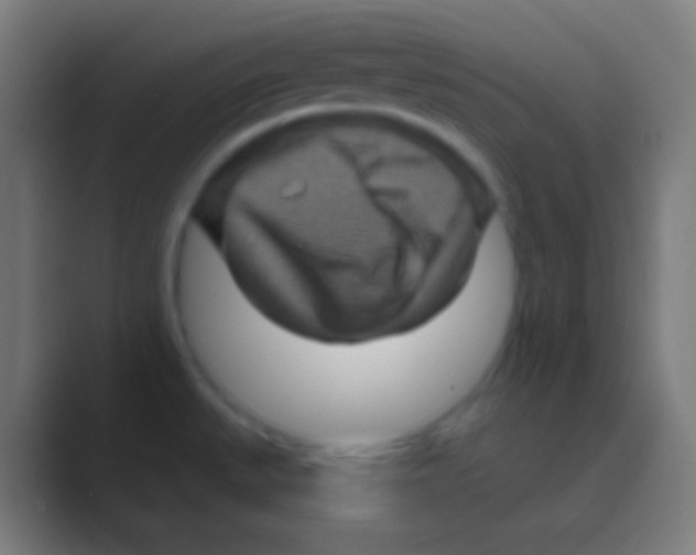 X0000088731527200706282113