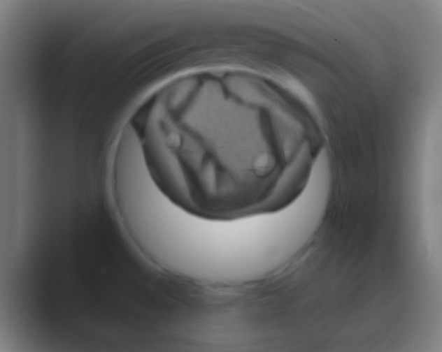 X0000088731528200706282113