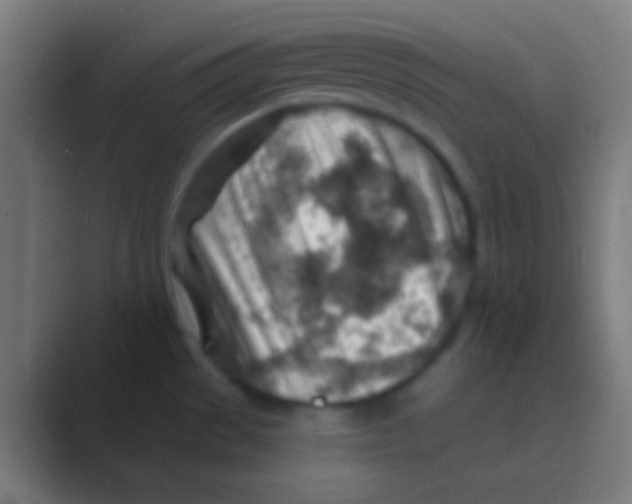 X0000088731529200706282113