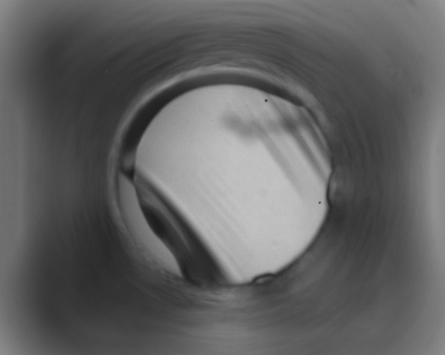 X0000088731530200706282114