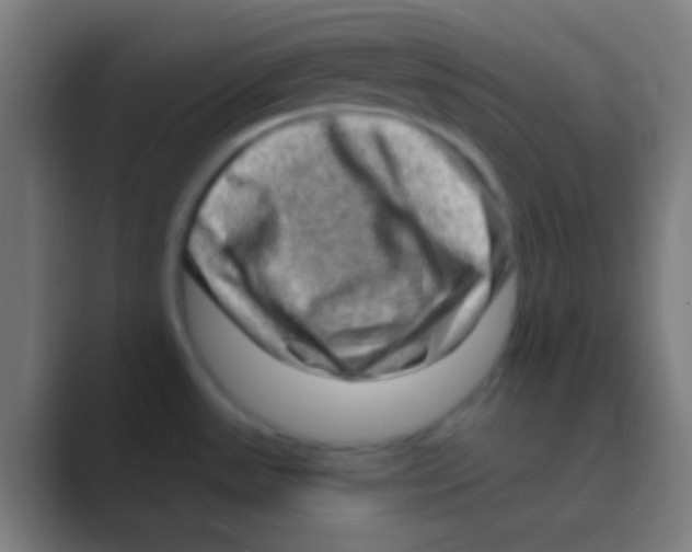 X0000088731531200706282114